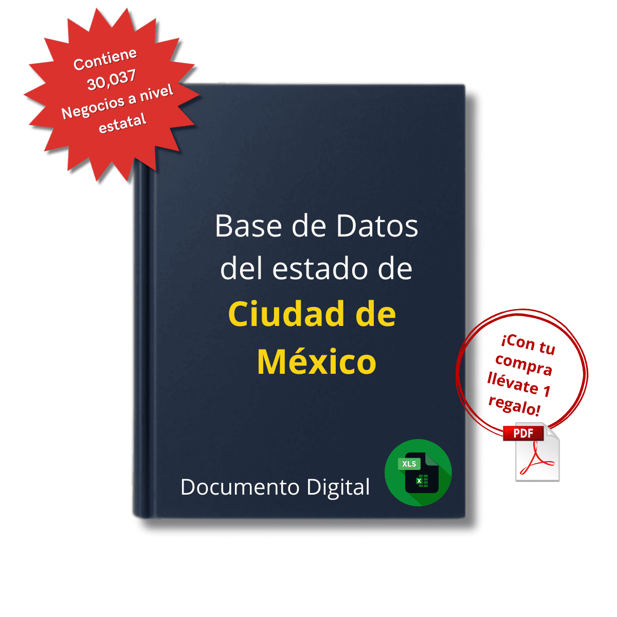 Base de Datos Empresarial de la Ciudad de México 2025 - 30,037 Empresas u organizaciones.