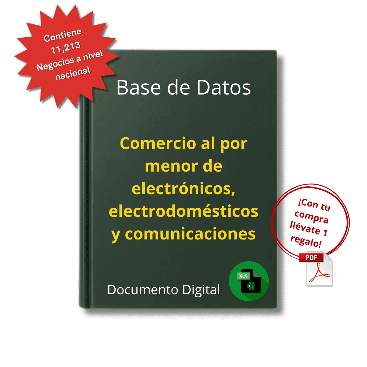 Base de Datos Empresarial de Comercio Minorista de Electrónicos, Electrodomésticos y Comunicaciones 2025 - 11,213 Negocios