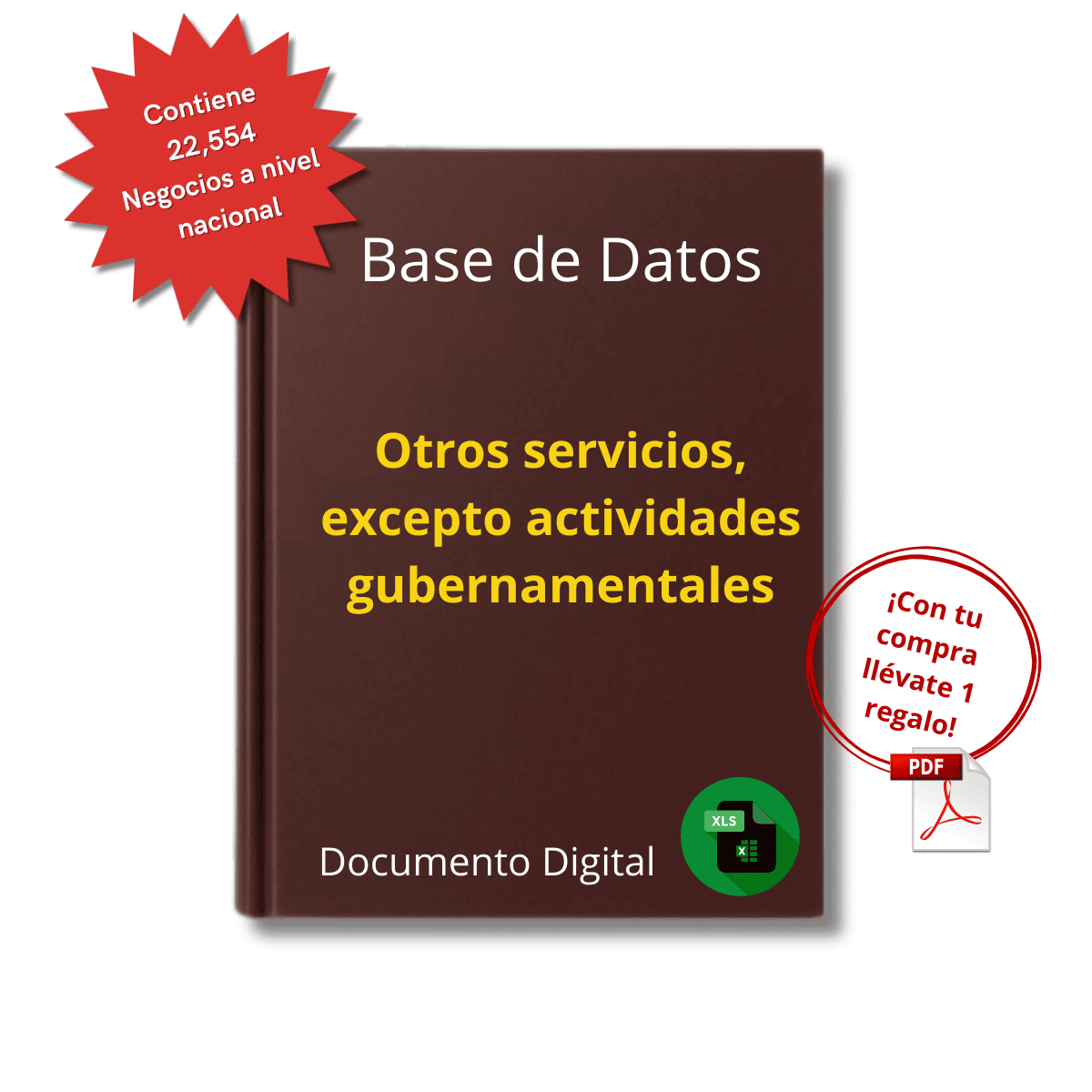 Base de Datos Empresarial de Otros Servicios No Gubernamentales 2025 - 22,554 Empresas u organizaciones.