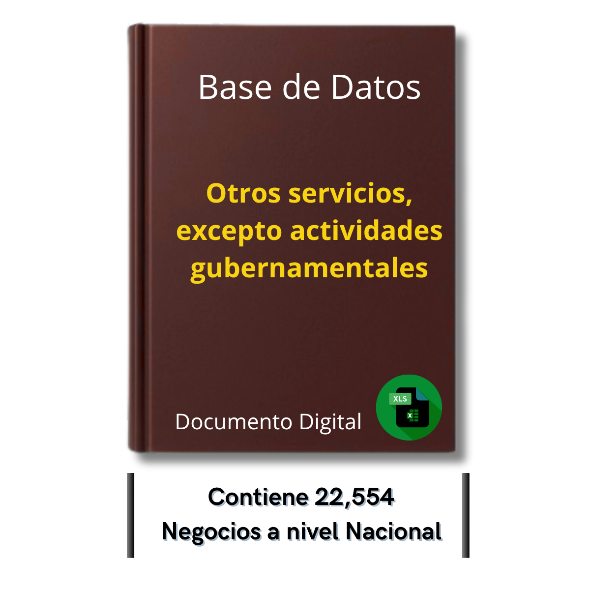 Directorio de Empresas de Otros Servicios No Gubernamentales 2025 - 22,554 Empresas u organizaciones.