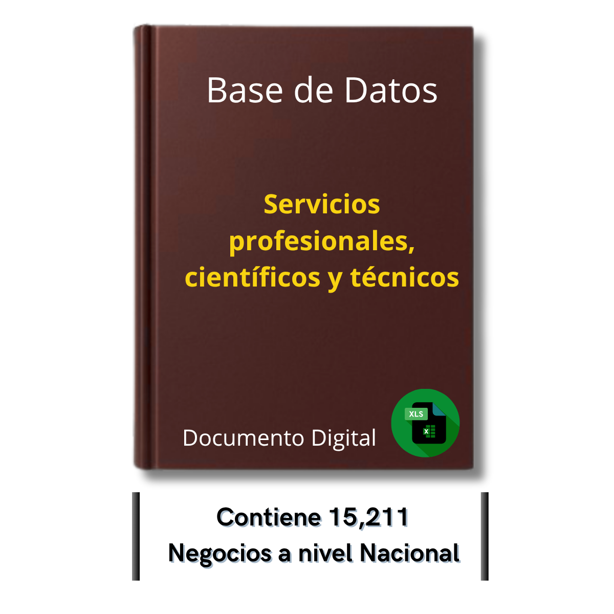 Directorio de Empresas de Profesionales y Técnicos 2025 - 15,211 Empresas u organizaciones.