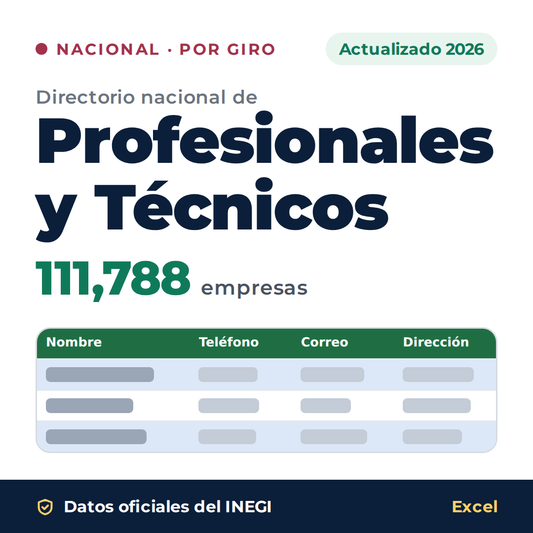Directorio nacional de Profesionales y Técnicos 2026 en Excel: 111,788 empresas. Datos oficiales del INEGI
